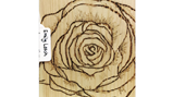 art exhibition