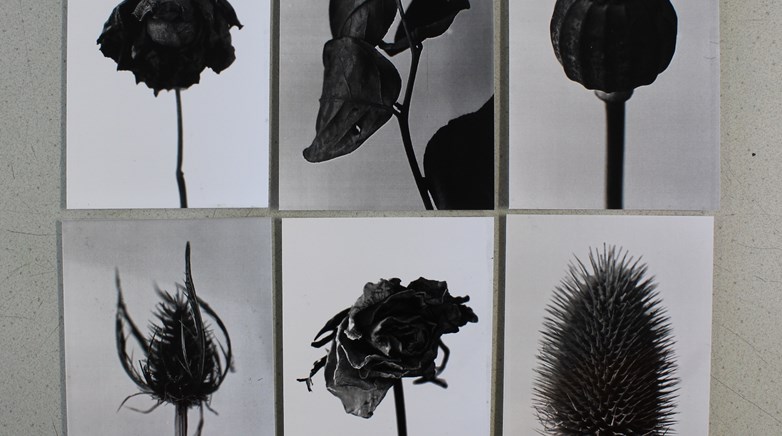 The results of the darkroom photography.