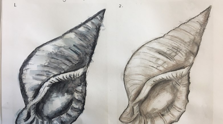 Teesdale Year 7 conch art