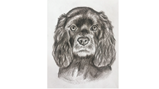Year 11 art