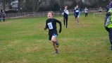 Teesdale Rory Cross County Championship 2019