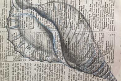 Shell drawings - Year 9