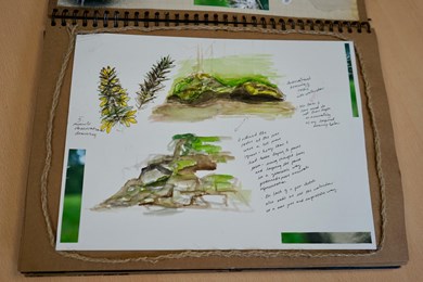 Landscape sketchbook 2