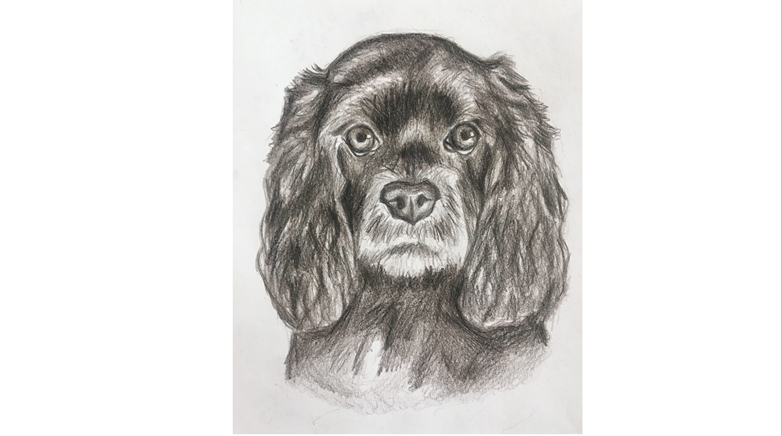 Year 11 art