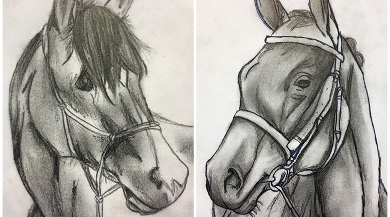 Talented Year 10 artist