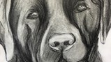 Talented Year 10 artist