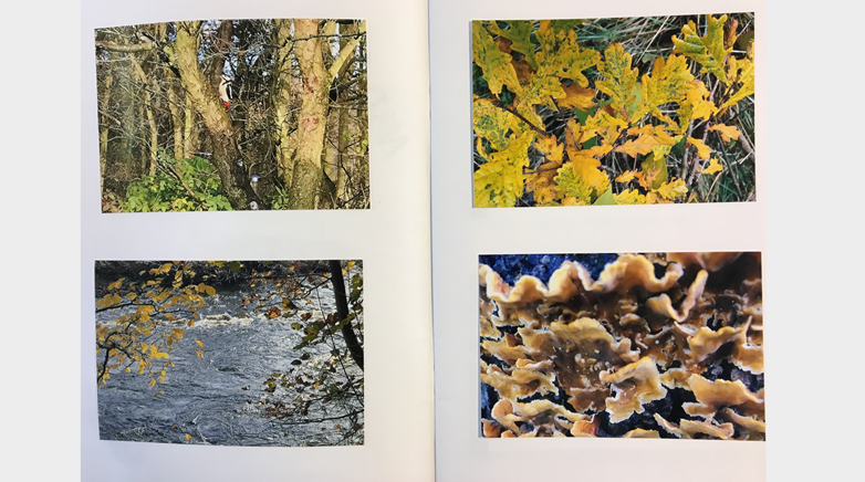 Year 7 photography artwork3