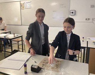 Year 8 Science -2