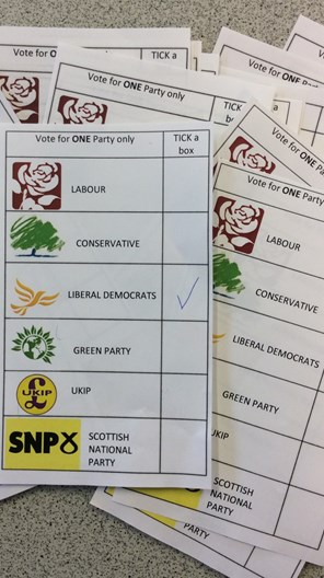 Teesdale mini general election