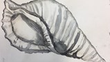 Teesdale Year 7 conch art