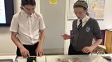 Year 8 Science -3