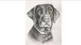 Year 11 art