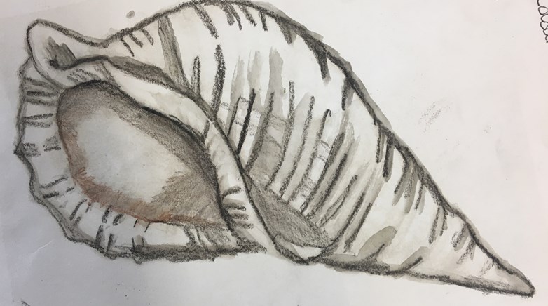 Teesdale Year 7 conch art