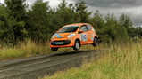 Rally driver 