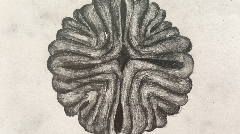Year 9 art