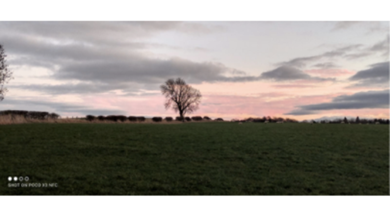 Photography comp