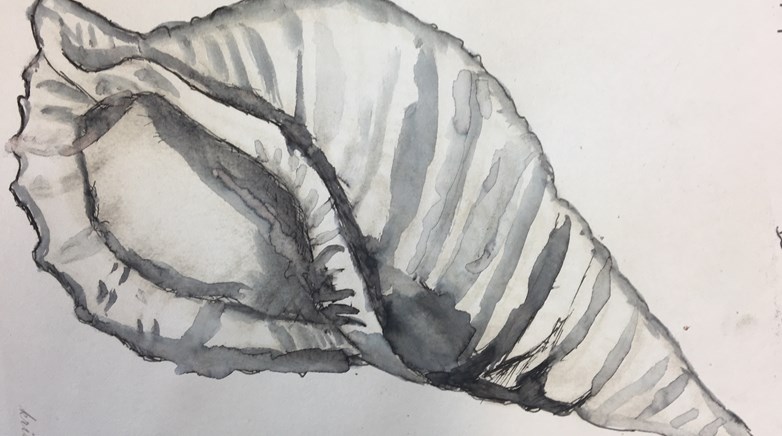Teesdale Year 7 conch art