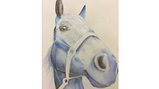 Year 11 art