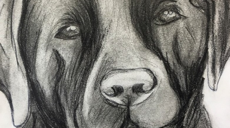 Talented Year 10 artist