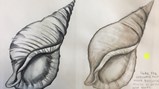 Teesdale Year 7 conch art
