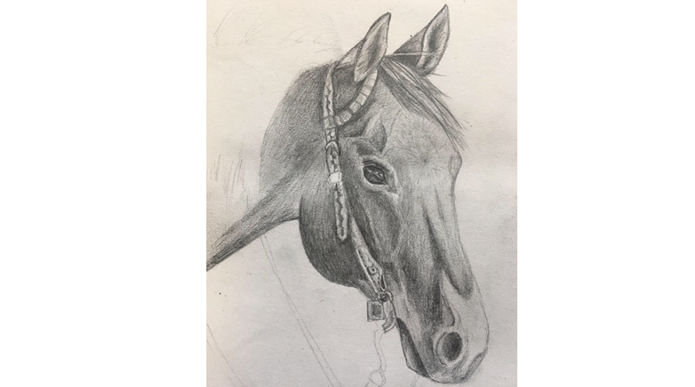 Year 11 art