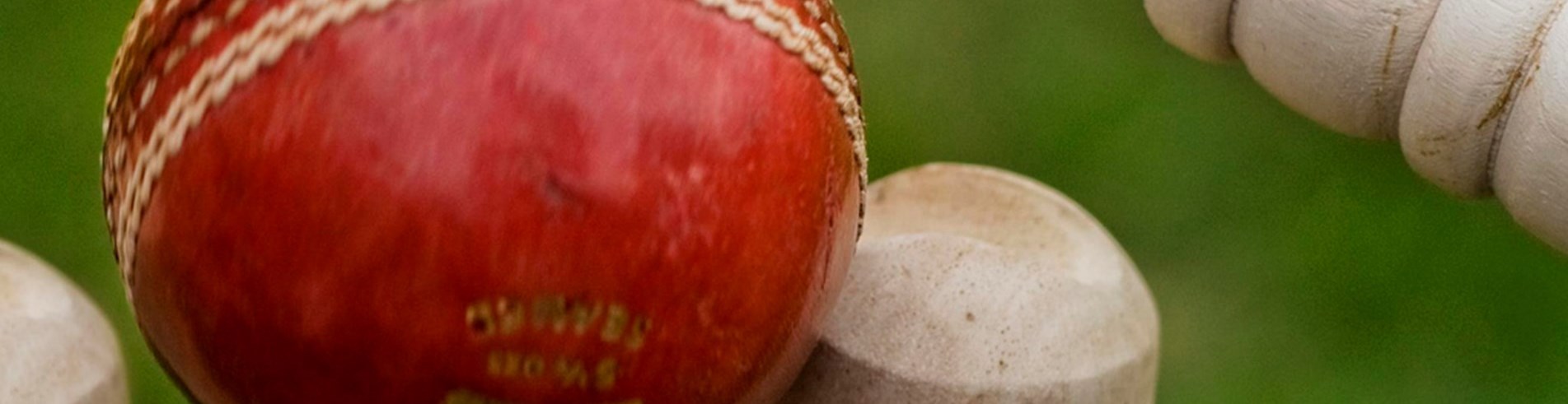 Cricket