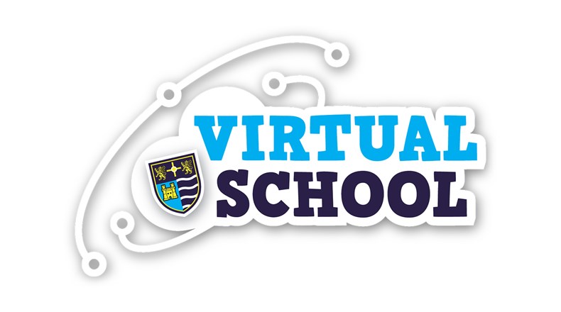 Teesdale School virtual school logo