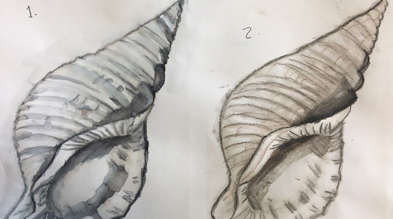 Teesdale Year 7 conch art