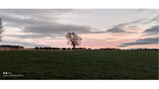 Photography comp