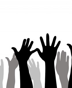 Work experience and volunteering