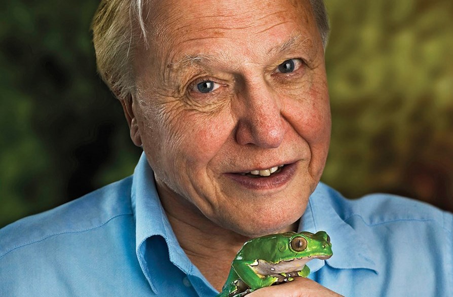 David Attenborough