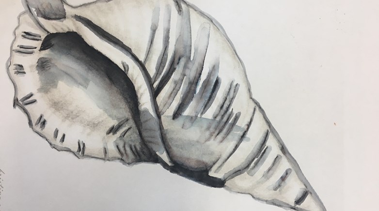 Teesdale Year 7 conch art